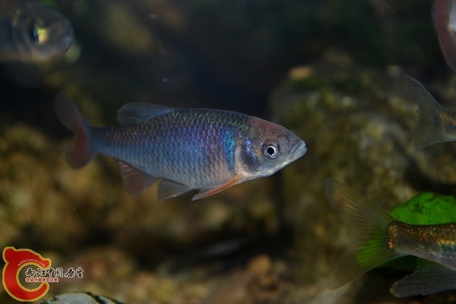 DSC_7324.JPG