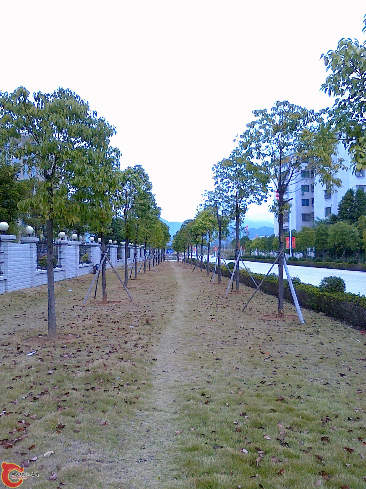 20120211569.jpg