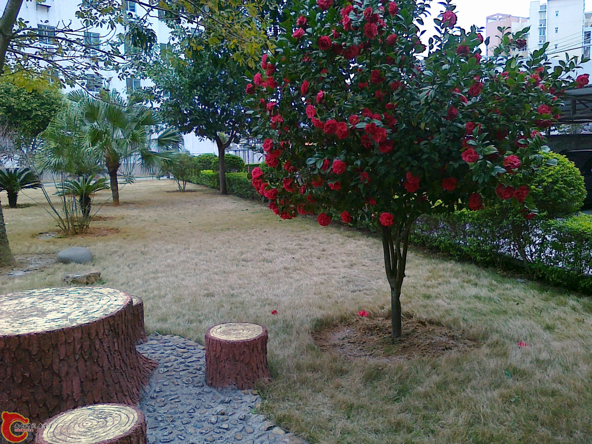 20120211570.jpg