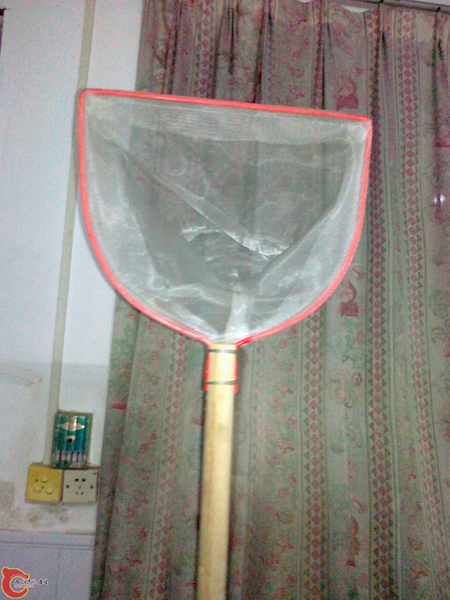 20120306576.jpg