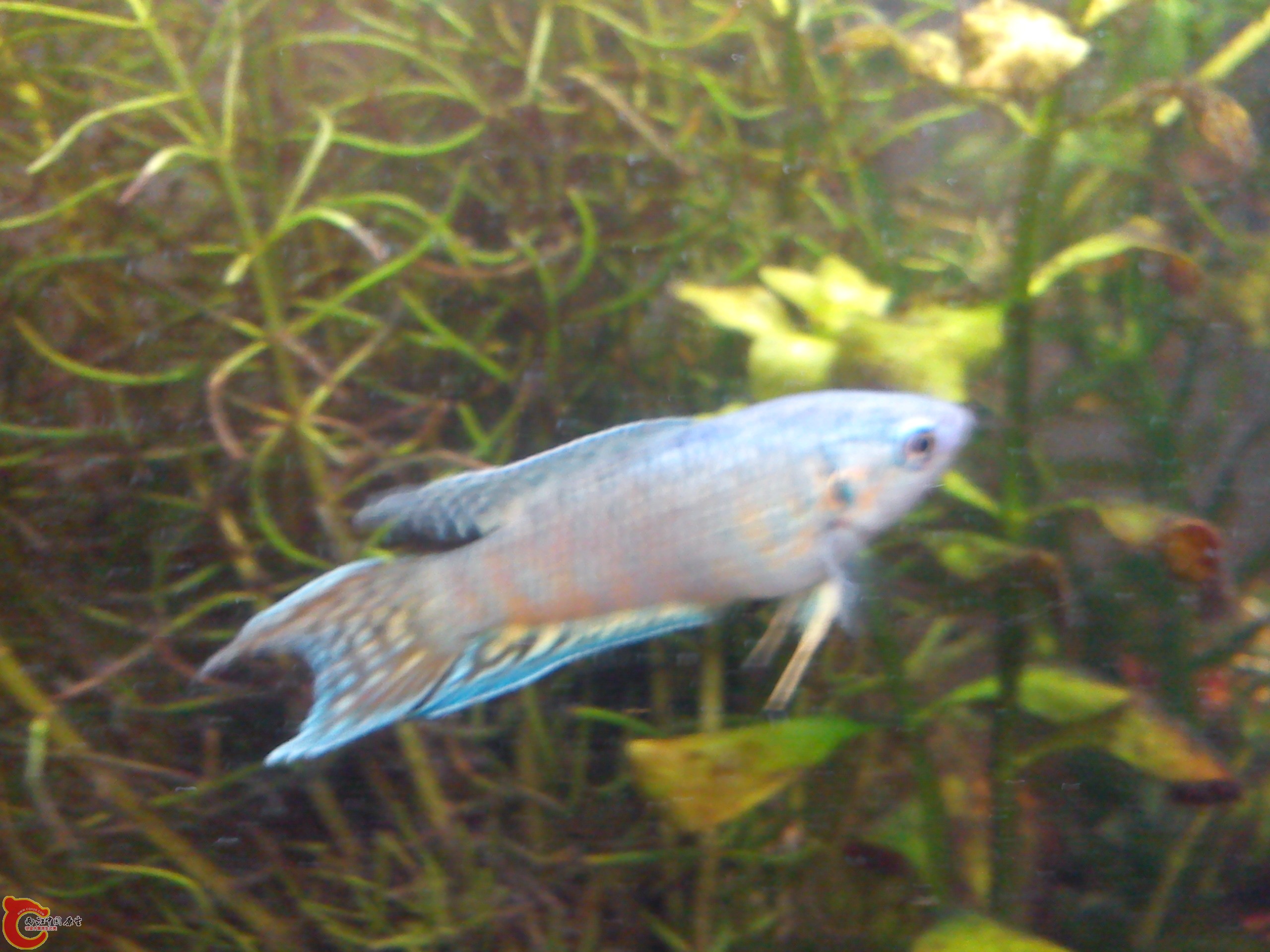Camera_20120227_192249.jpg