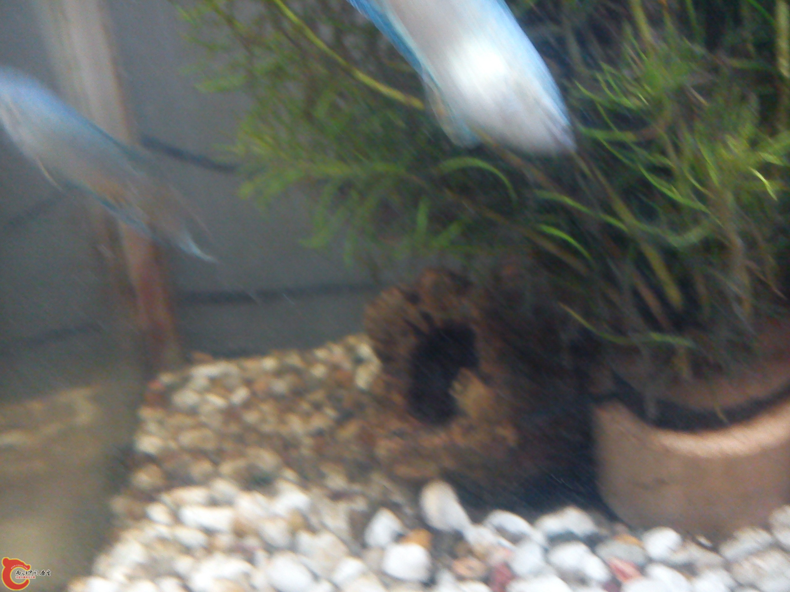 Camera_20120227_192300.jpg