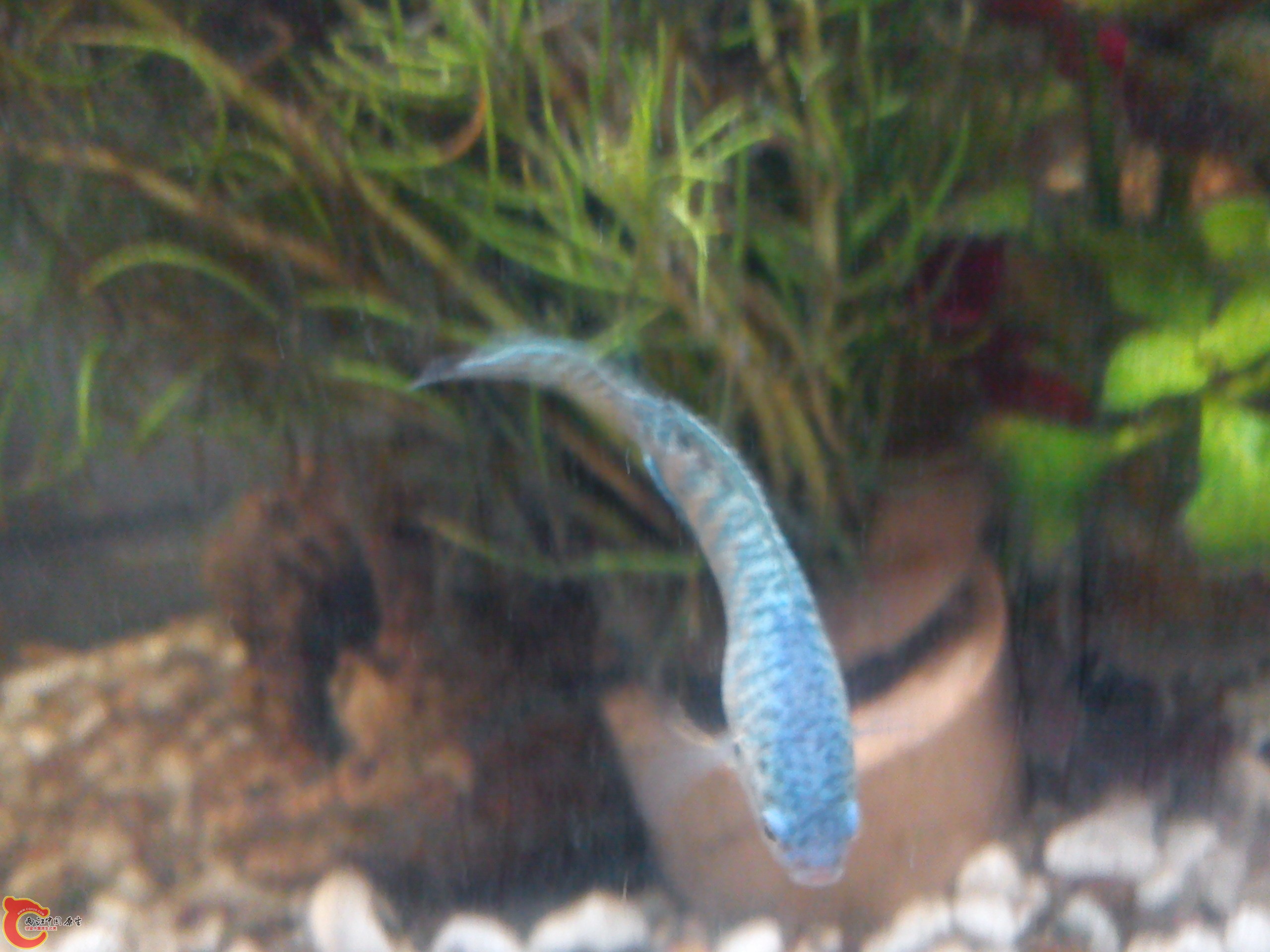 Camera_20120227_192307.jpg
