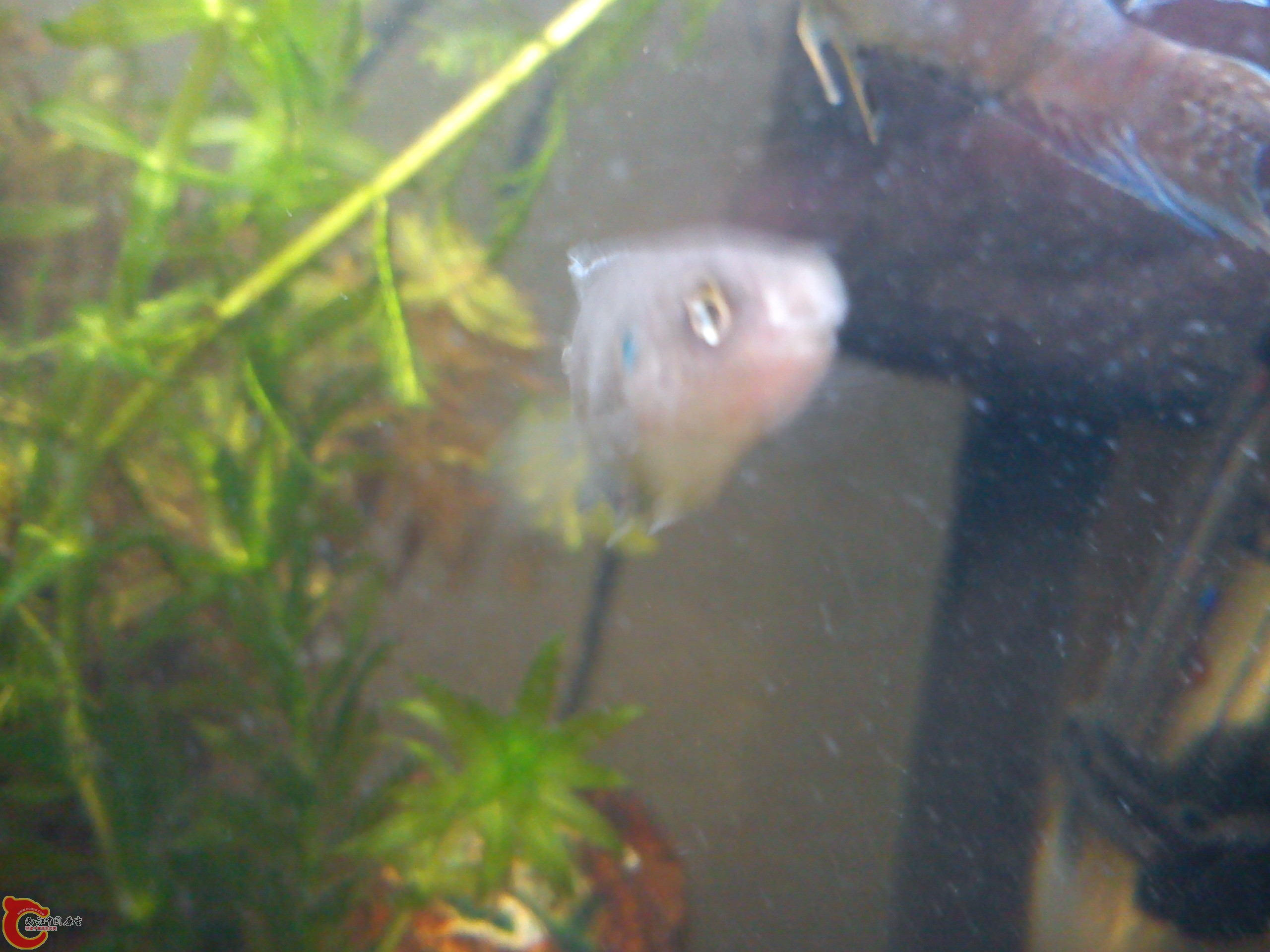 Camera_20120227_192405.jpg