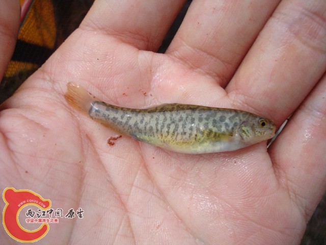 DSC01116.JPG