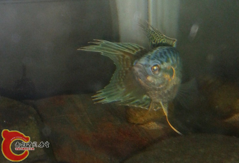 2012-02-28 21.51.31_副本_副本.jpg