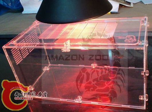 小号爬盒规格：30*15*15