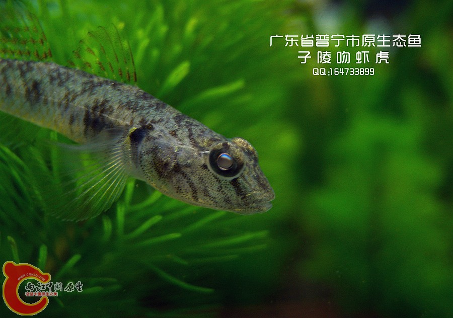 DSCN91601.jpg