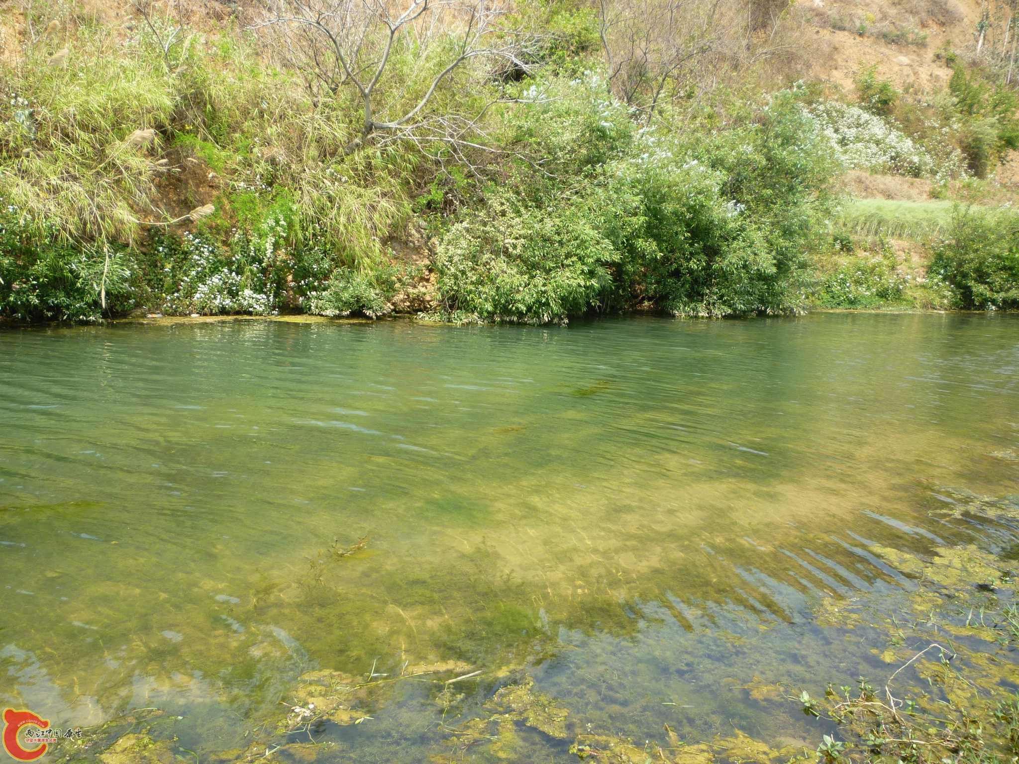 P1040983.JPG