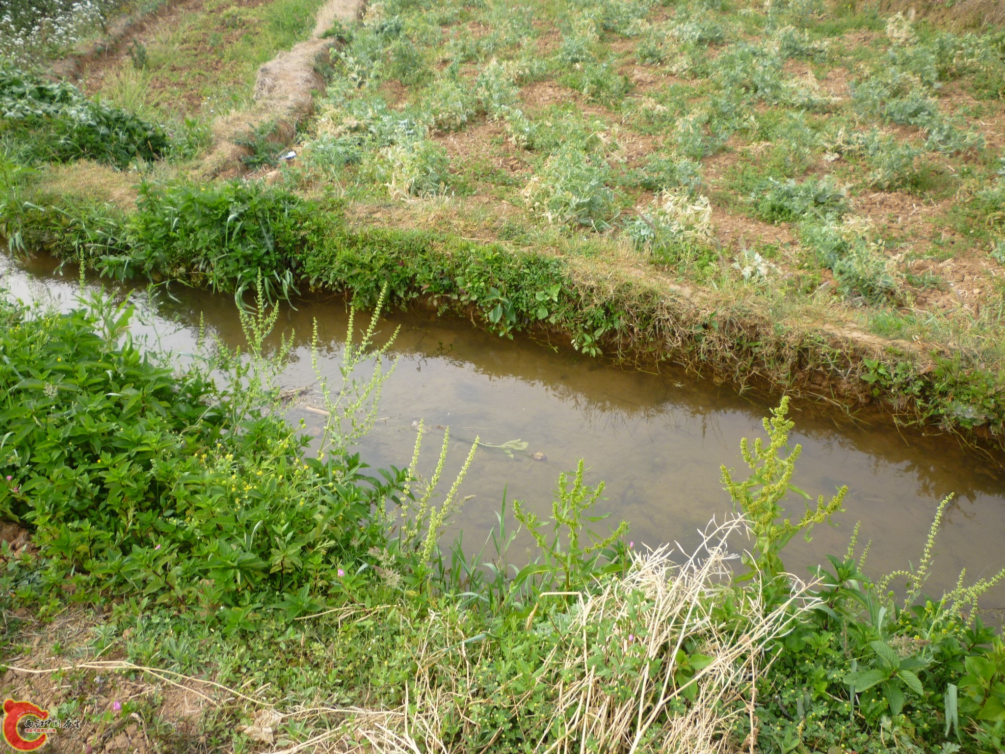 P1050028.JPG