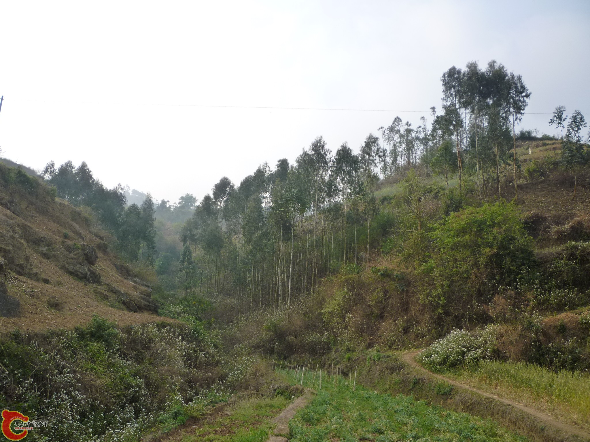 P1050029.JPG