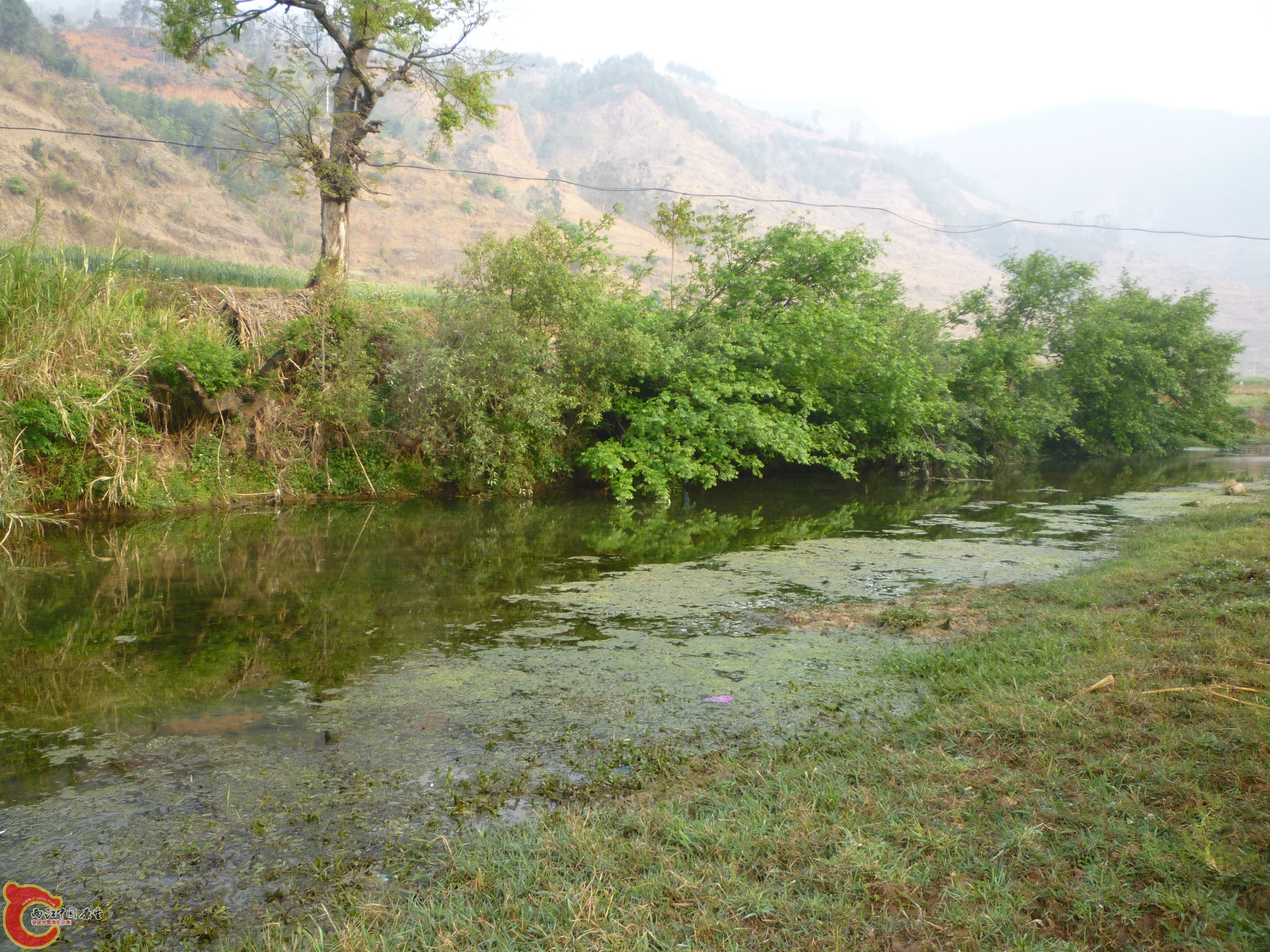 P1050030.JPG