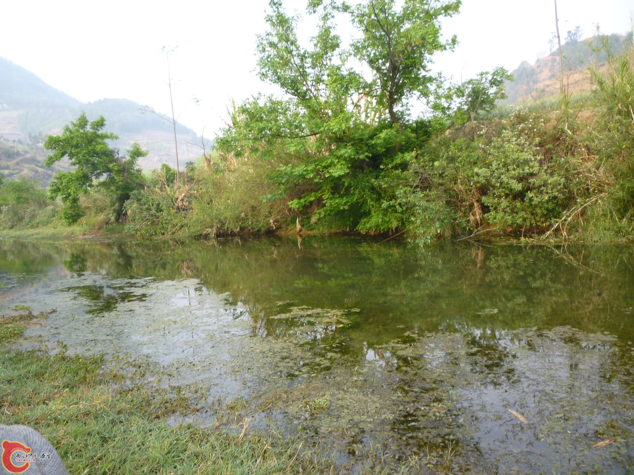 P1050031.JPG
