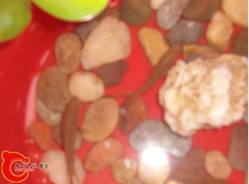X~SZI9RJ(E0`%@[JUP[D2E7.jpg