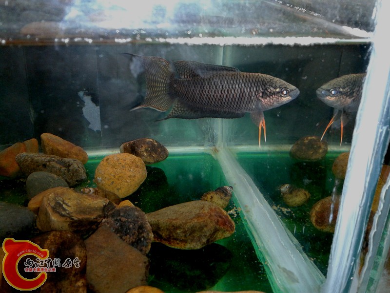 2012-03-12 13.35.26_副本.jpg