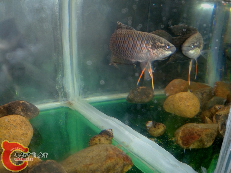 2012-03-12 13.36.08_副本.jpg