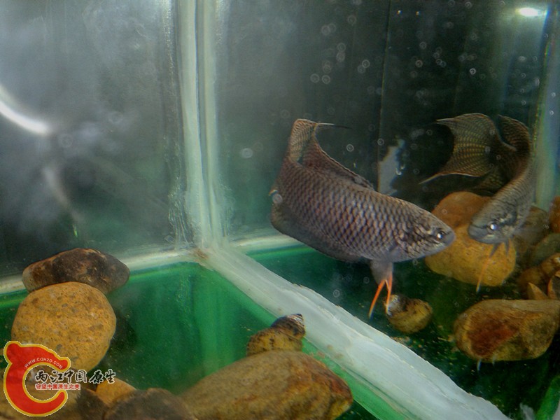 2012-03-12 13.36.15_副本.jpg