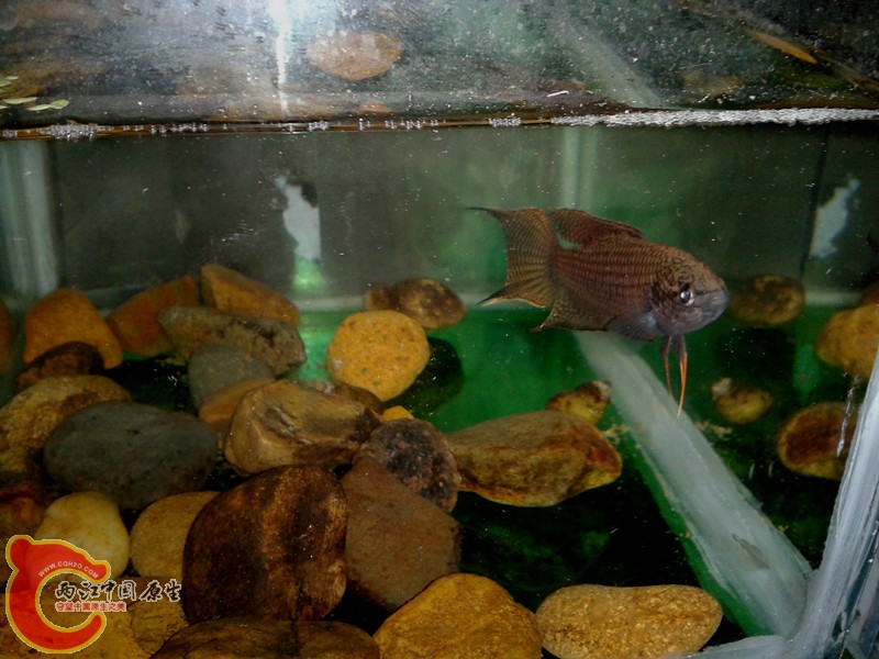 2012-03-12 13.39.47_副本.jpg