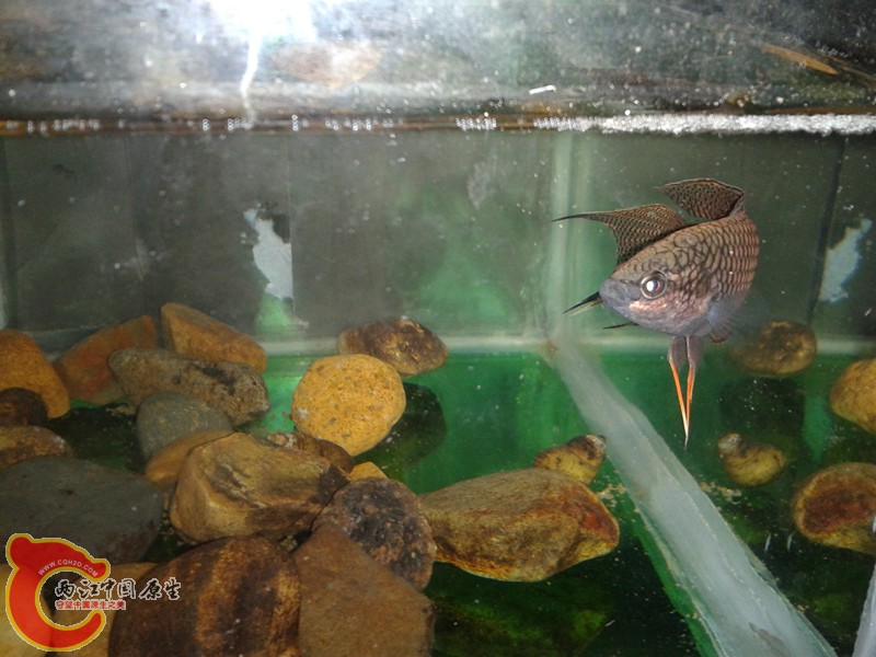 2012-03-12 13.39.55_副本.jpg