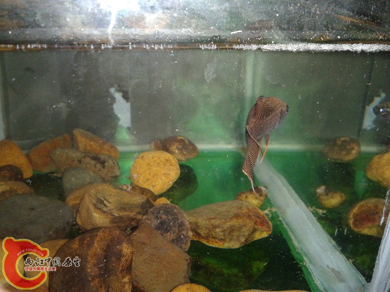 2012-03-12 13.40.07_副本.jpg