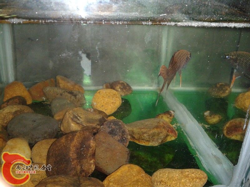 2012-03-12 13.40.13_副本.jpg