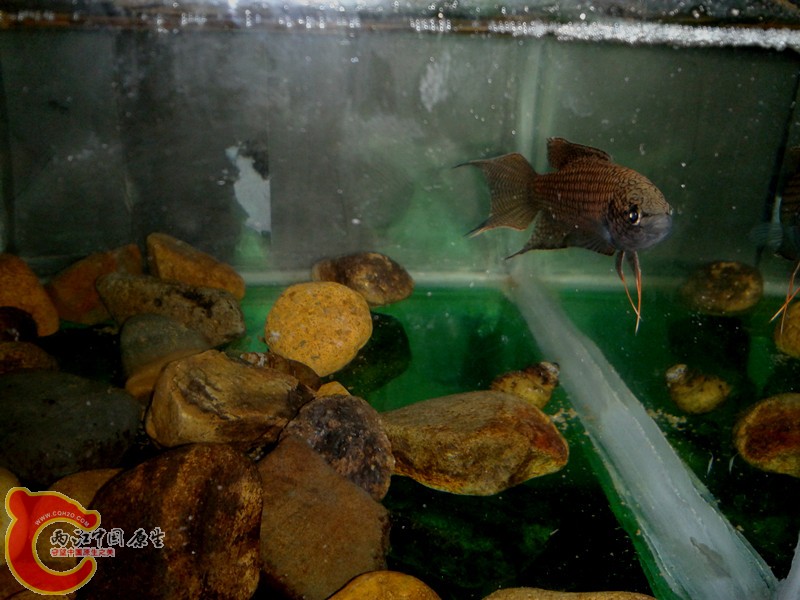 2012-03-12 13.42.09_副本.jpg