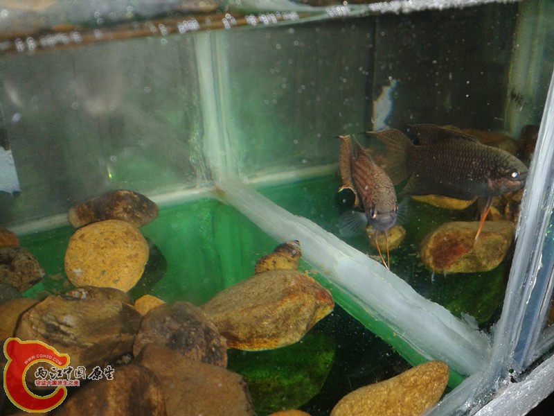 2012-03-12 13.42.20_副本.jpg