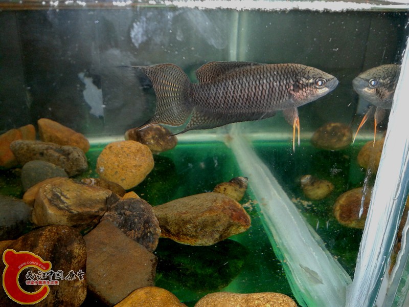 2012-03-12 13.35.21_副本.jpg