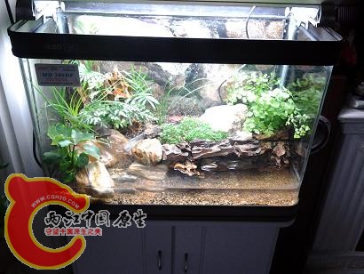 2012-03-13 18.48.52.jpg