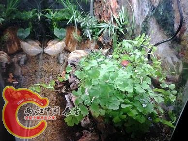 2012-03-13 18.49.23.jpg