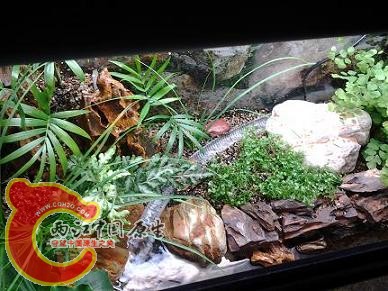 2012-03-13 18.50.06.jpg