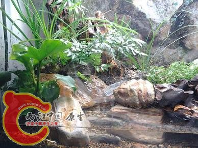 2012-03-13 18.50.25.jpg