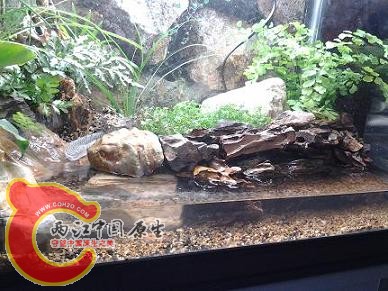 2012-03-13 18.50.31.jpg