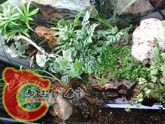 2012-03-14 12.12.49.jpg