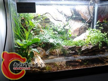 2012-03-14 12.12.31.jpg