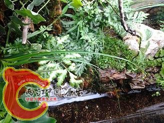 2012-03-14 12.12.54.jpg