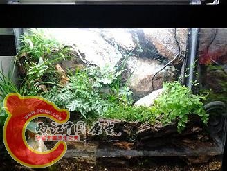 2012-03-14 12.13.28.jpg