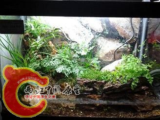 2012-03-14 12.13.32.jpg