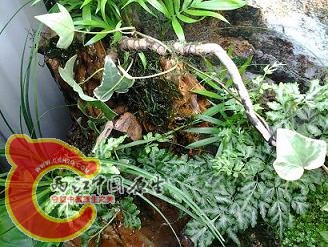 2012-03-14 12.13.50.jpg