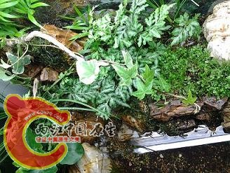 2012-03-14 12.13.55.jpg