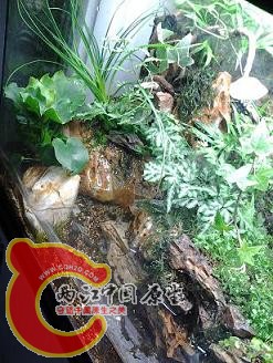 2012-03-14 12.13.59.jpg