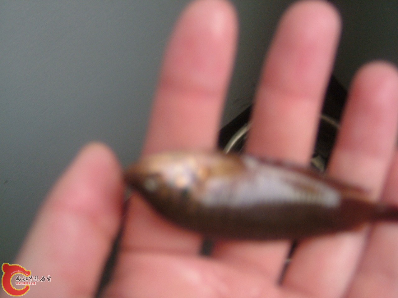 DSCF7951.JPG