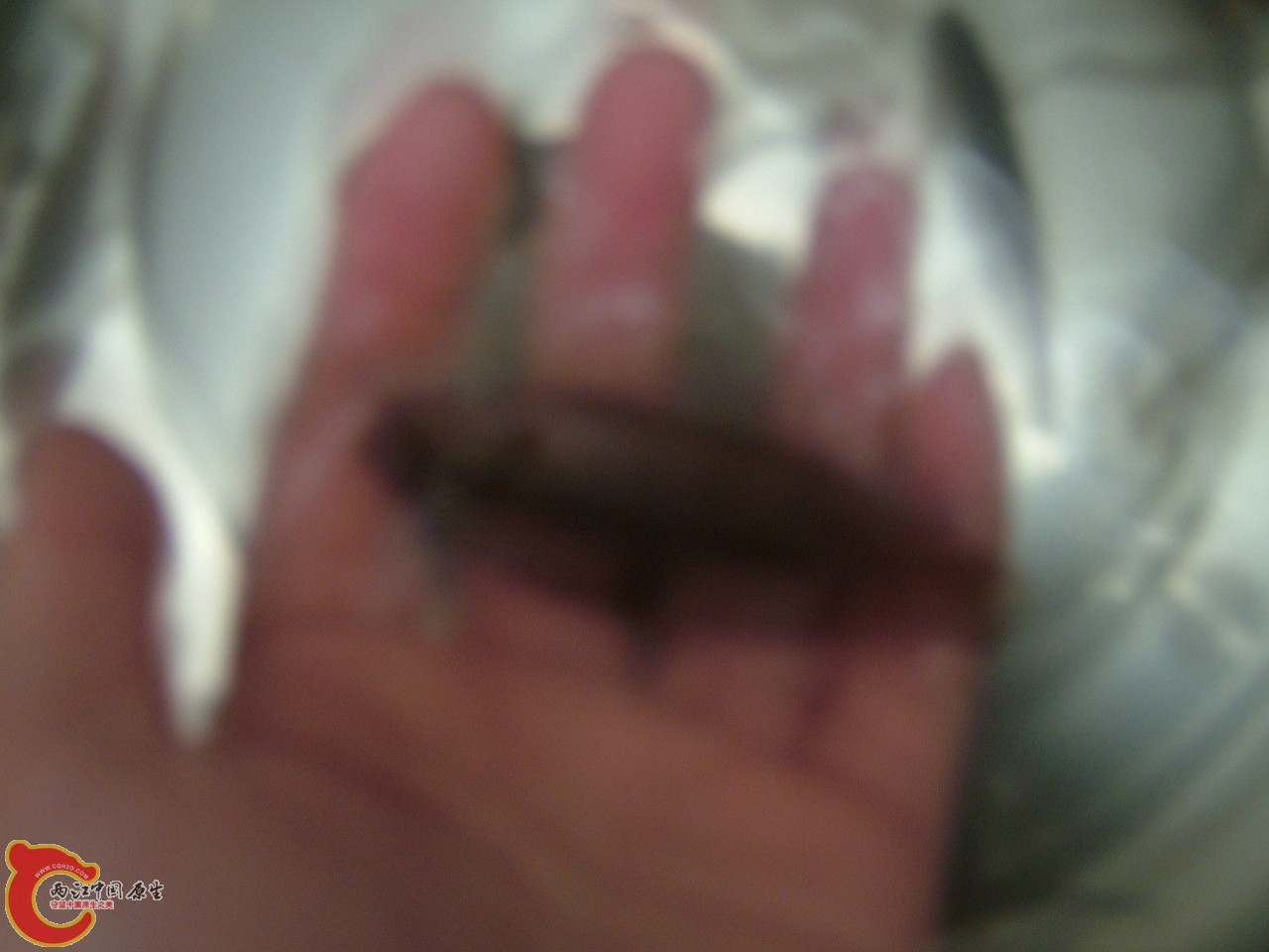 DSCF7952.JPG