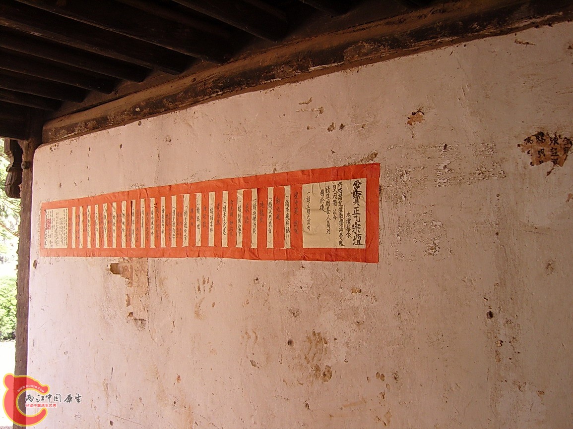 SNC12133.JPG