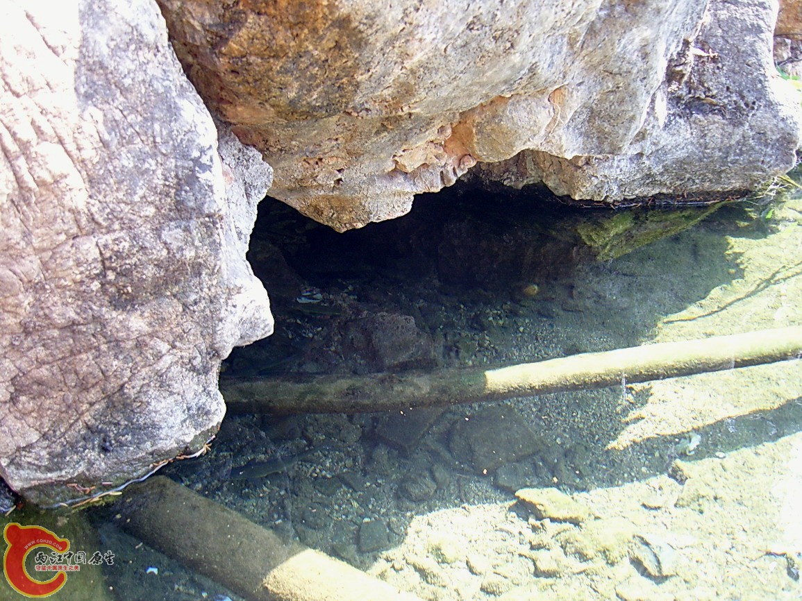 SNC12162.jpg