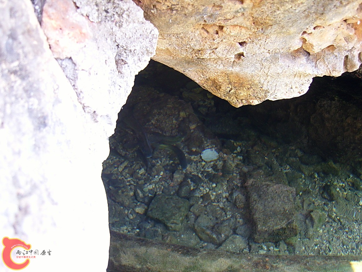 SNC12173.JPG