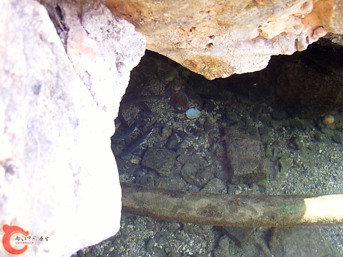 SNC12176.JPG
