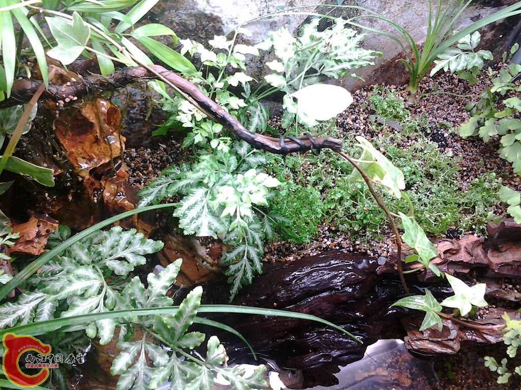 2012-03-17 18.58.02.jpg