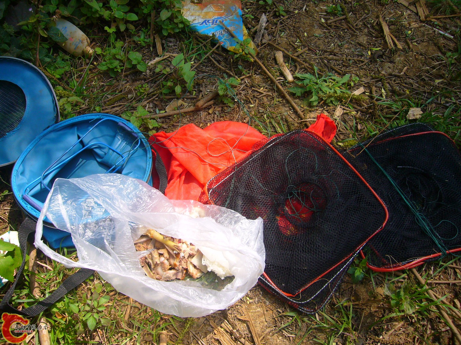P1100227.JPG