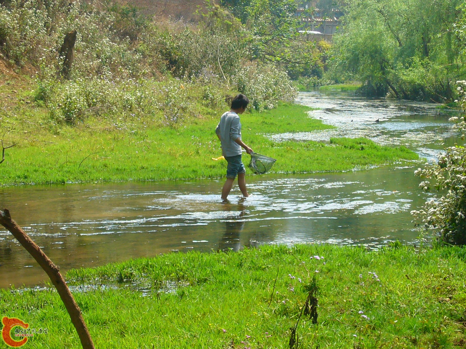 P1100230.JPG